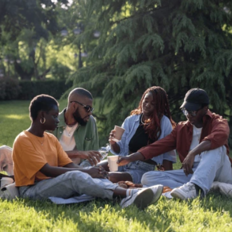 Two couples on a picnic